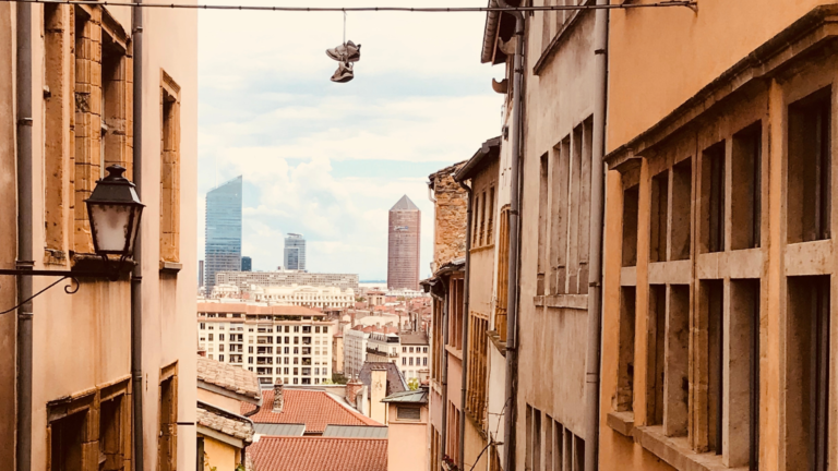 immobilier lyon 2024